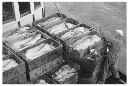 Salmon Unloading at Columbia River Packing Association 1941