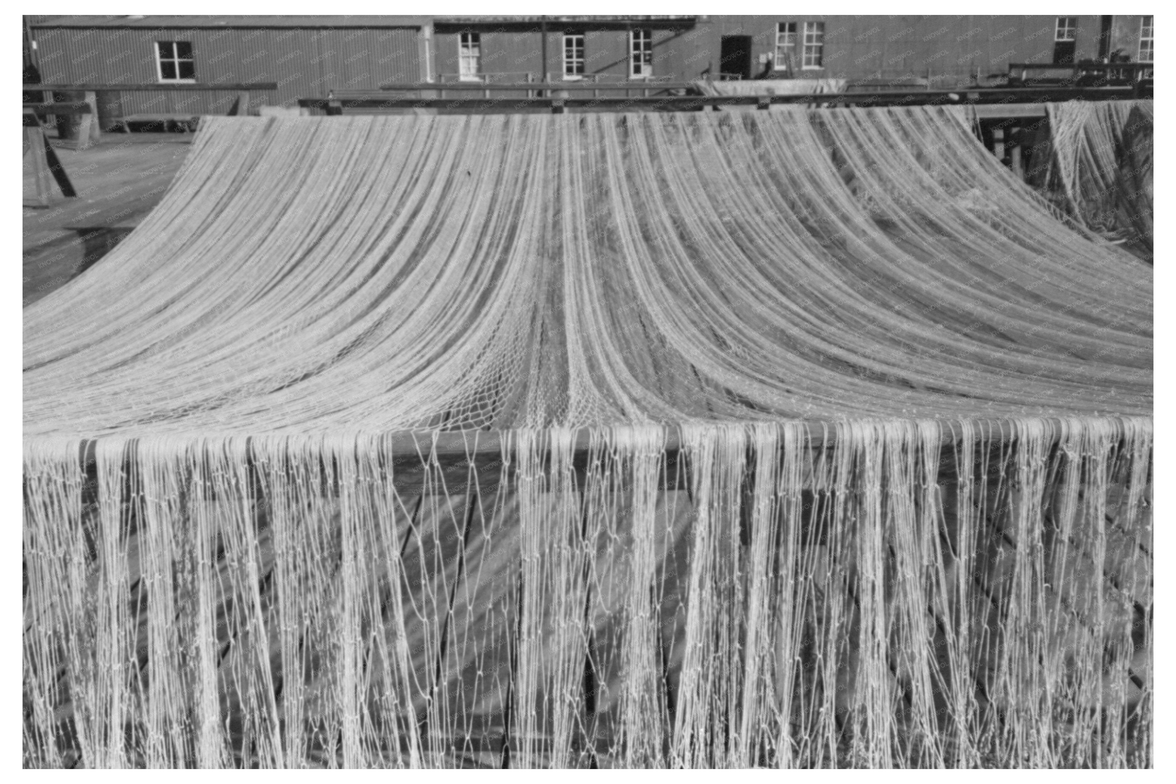 Fishing Nets Drying in Sun Astoria Oregon 1941