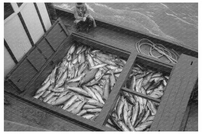 Salmon at Columbia River Packing Association Astoria 1941