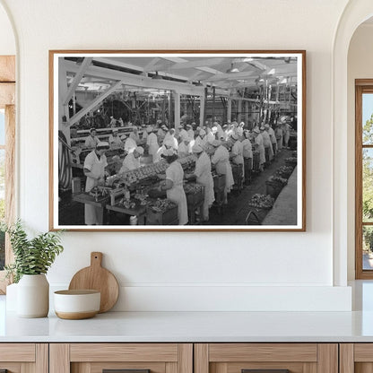 Workers Packing Salmon Cans Astoria Oregon 1941