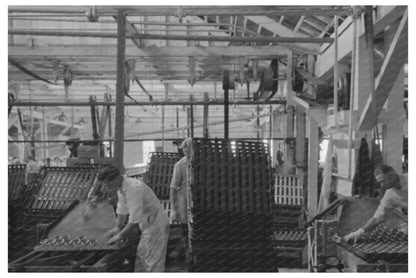 Salmon Cans Racked for Processing in Astoria Oregon 1941