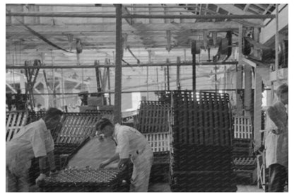 Salmon Cans Being Racked for Cooking Astoria Oregon 1941