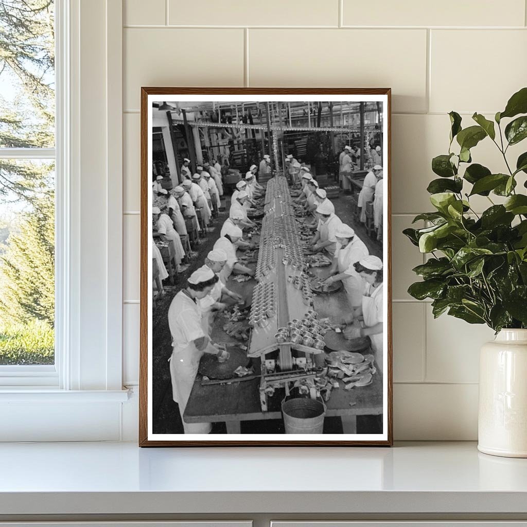 Workers Packing Salmon Cans Columbia River Astoria 1941