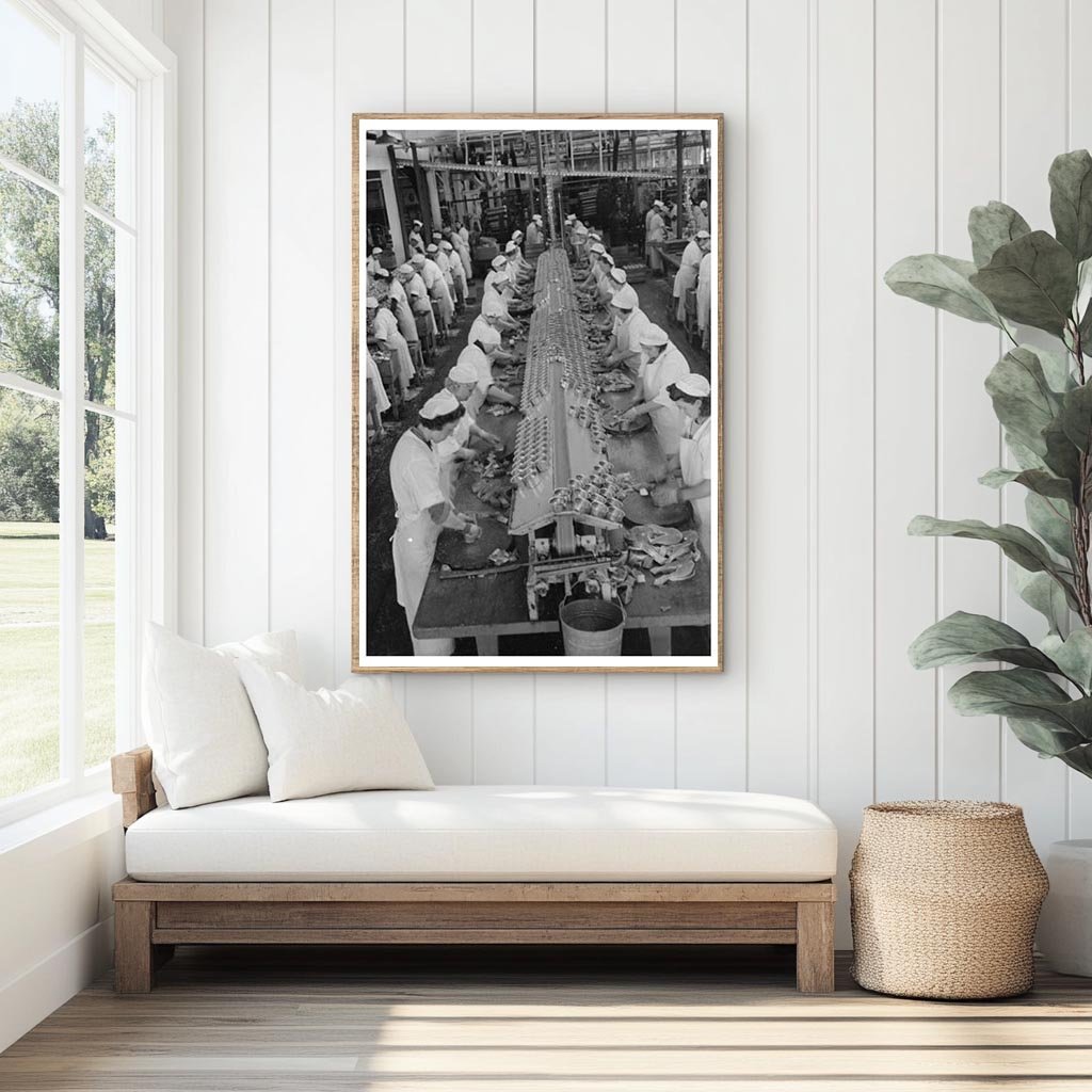 Workers Packing Salmon Cans Columbia River Astoria 1941