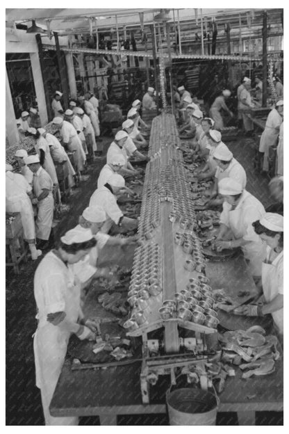 Sliced Salmon for Canning Columbia River Packing 1941