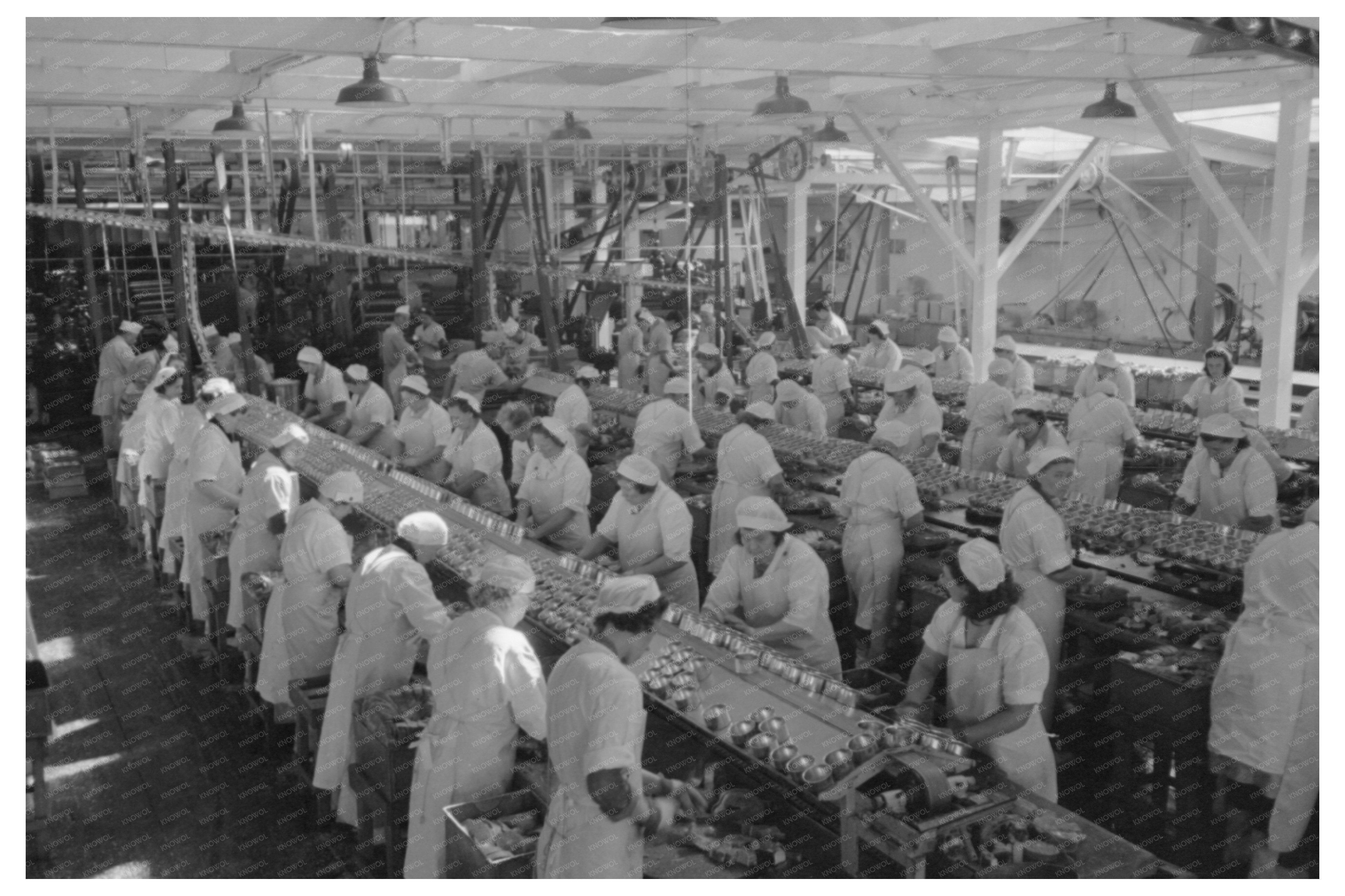 Sliced Salmon Canning Columbia River Packing 1941