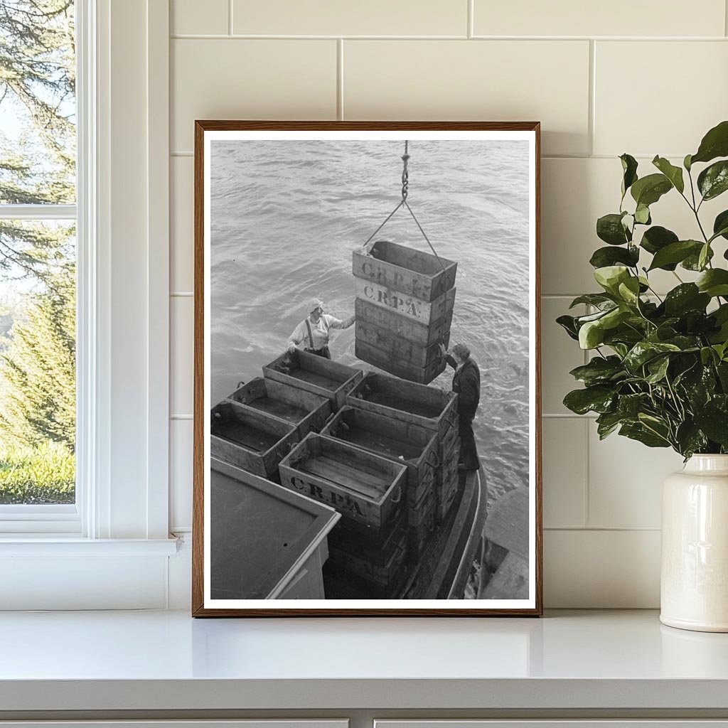 Fishing Boat Loading Boxes in Astoria Oregon 1941