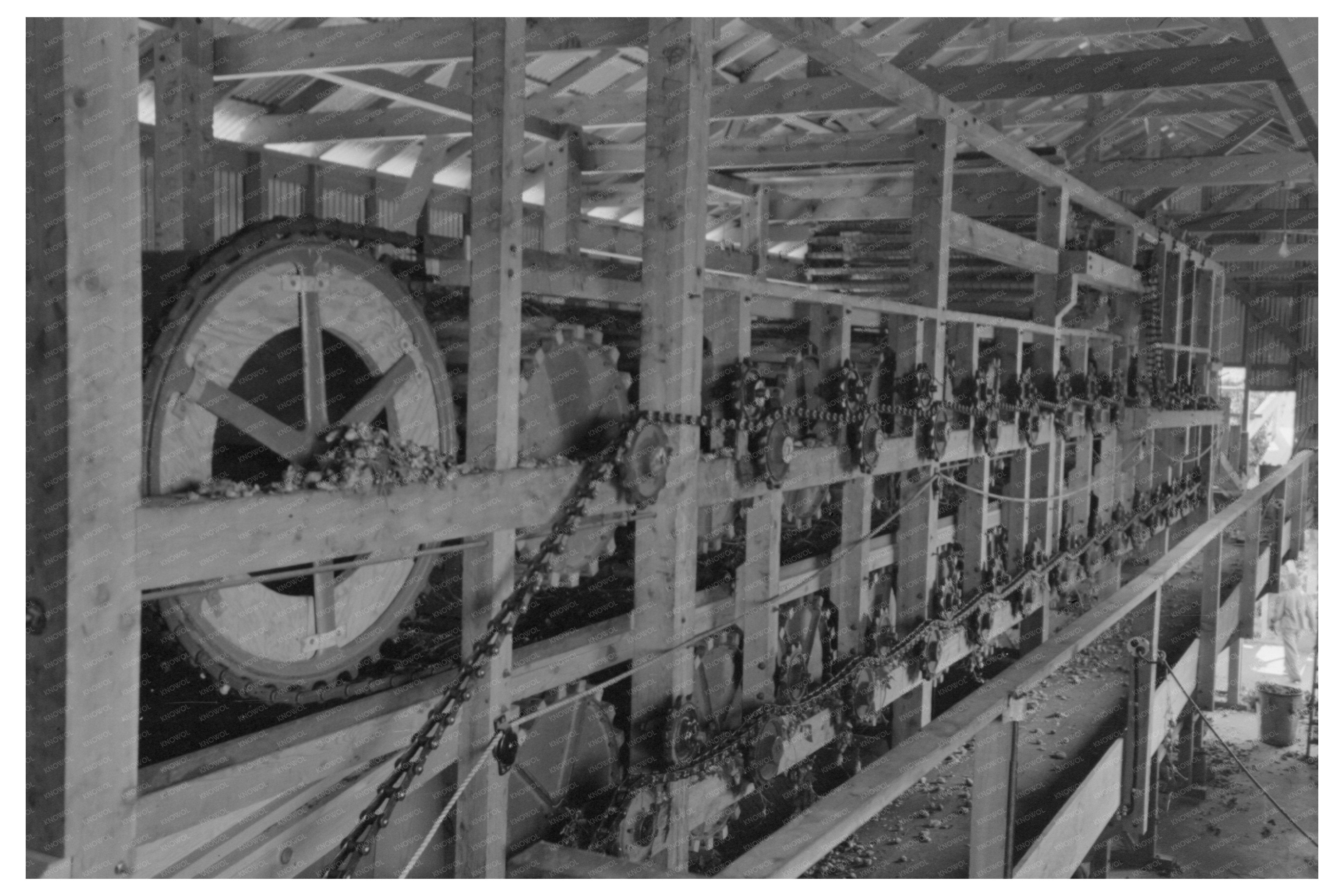 Vintage 1941 Hop Picking Machinery in Yakima County