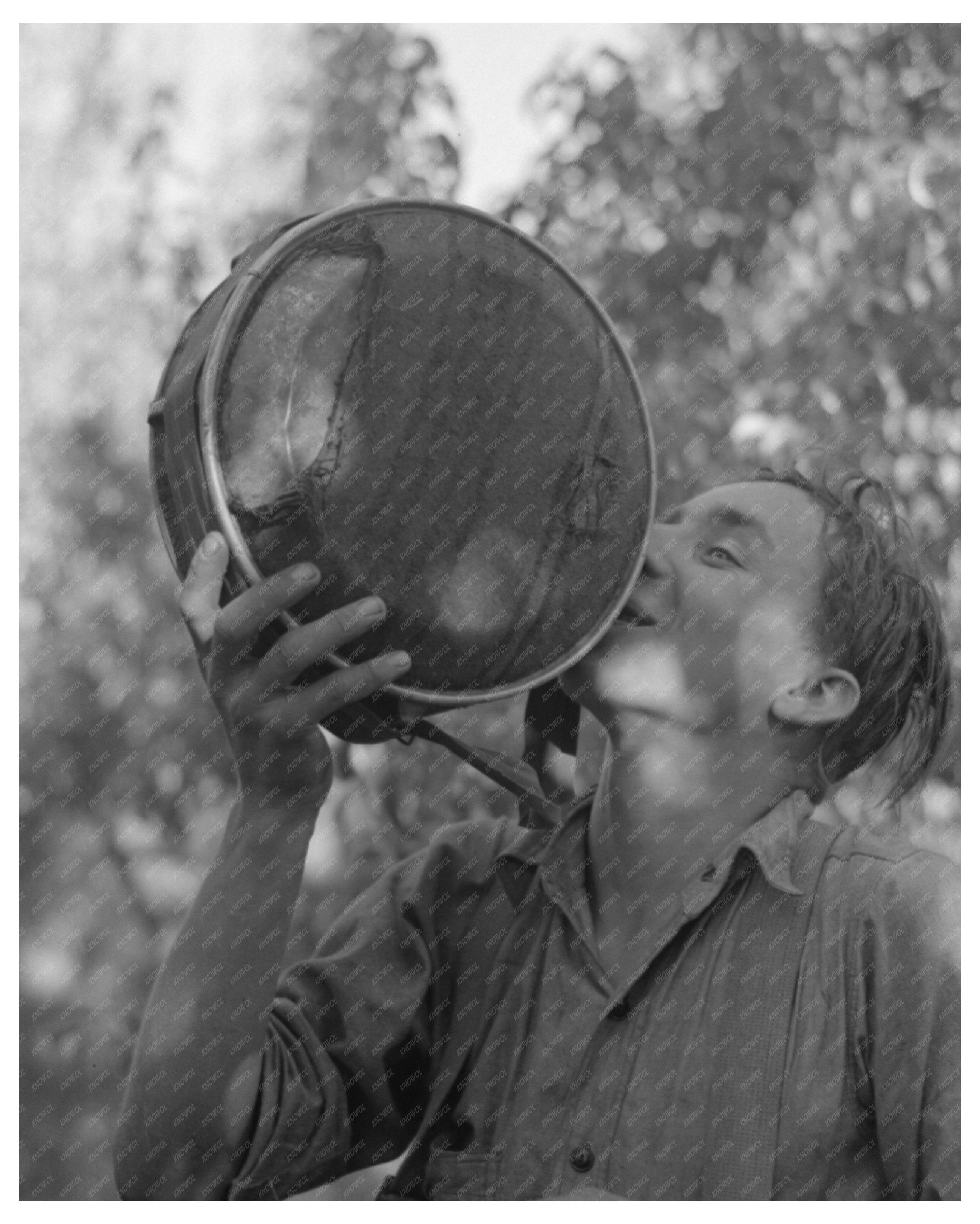 Pear Picker Drinking Water Hood River Oregon 1941