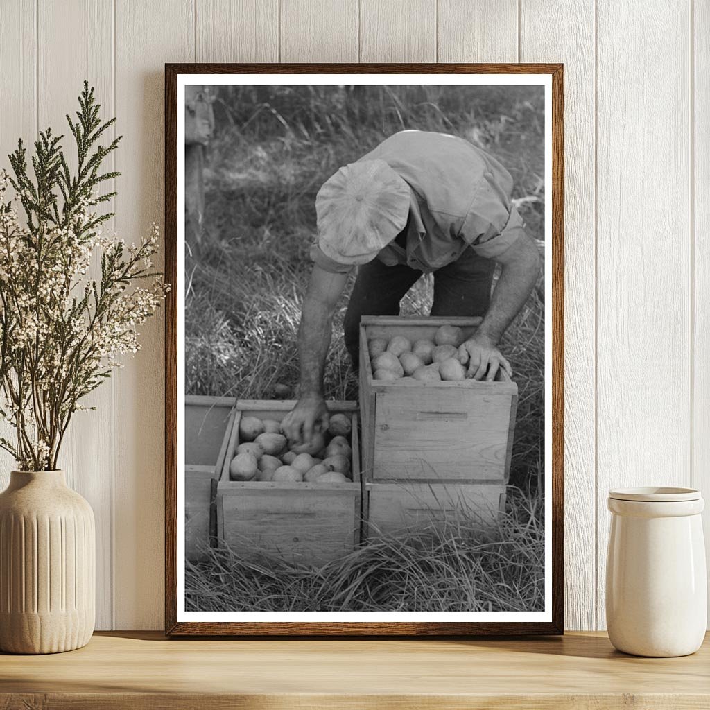 Hood River Pear Picking Workers September 1941