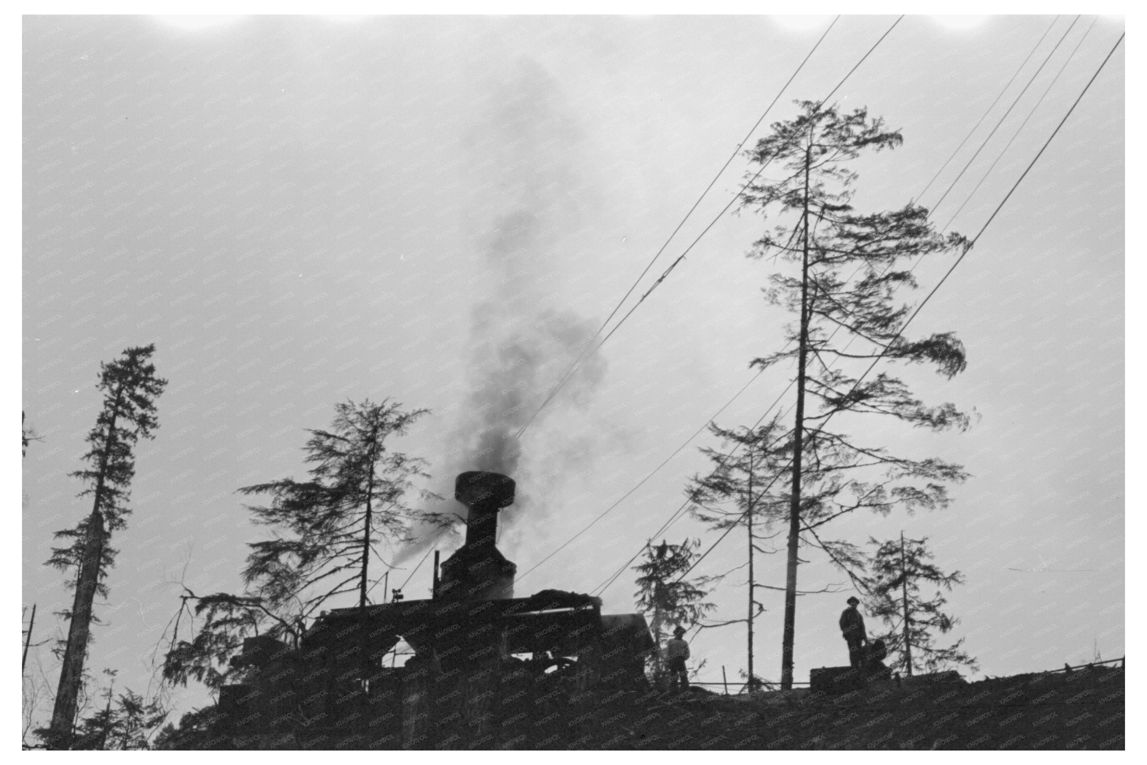 Donkey Engine for Logging at Long Bell Lumber Company 1941