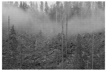 Long Bell Lumber Company Logging Holdings Cowlitz County 1941