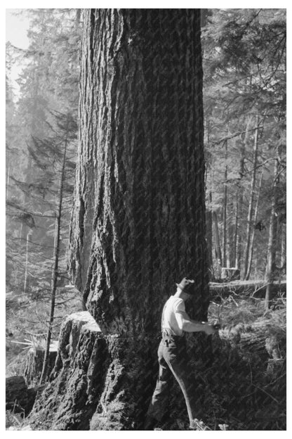 Lumberjack at Long Bell Lumber Company Cowlitz County 1941