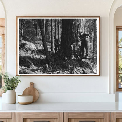 Lumberjacks Cutting Tree at Long Bell Lumber Company 1941