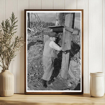 Logging Superintendent at Long Bell Lumber Company 1941