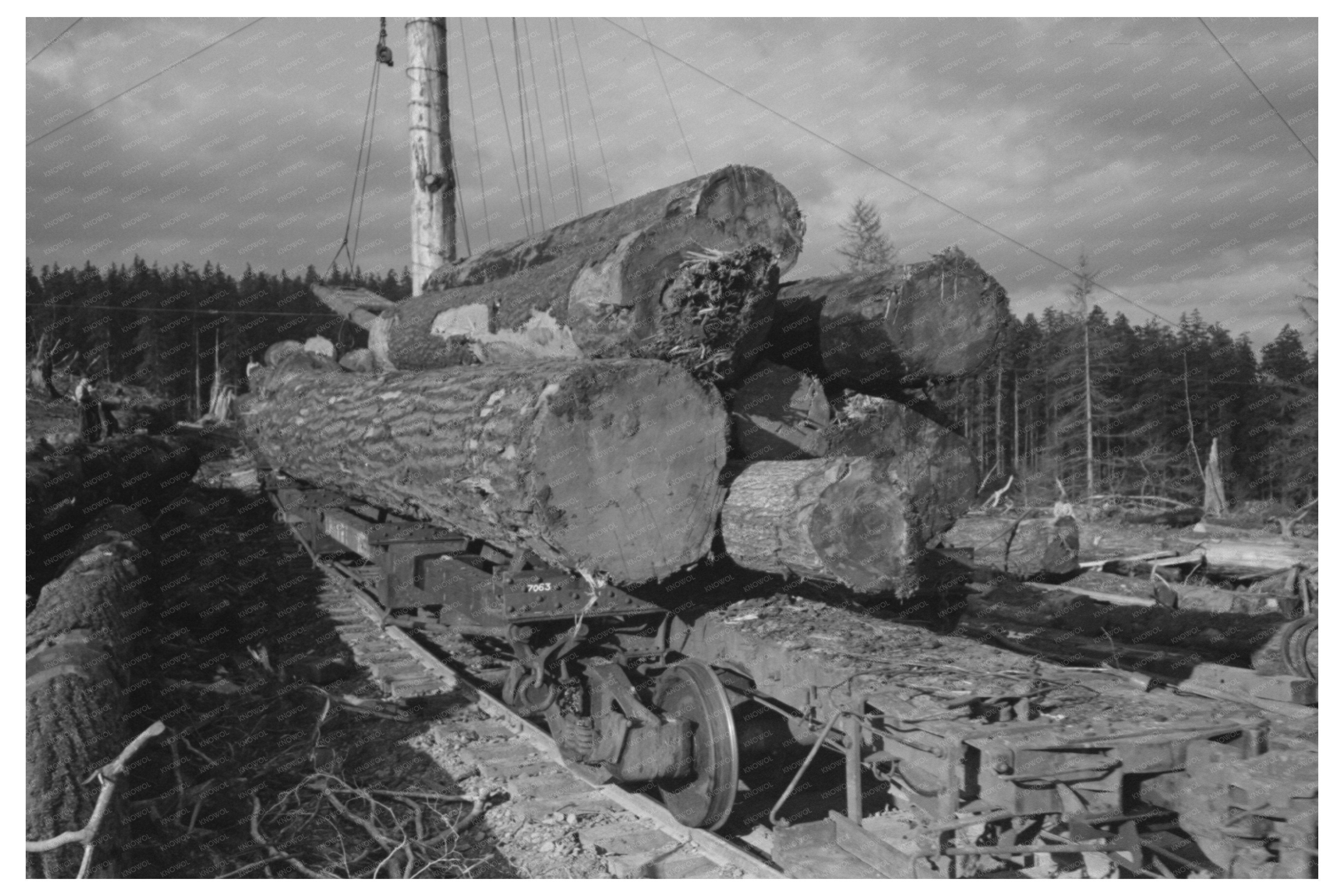 Logs on Flatcar Long Bell Lumber Company Cowlitz County 1941