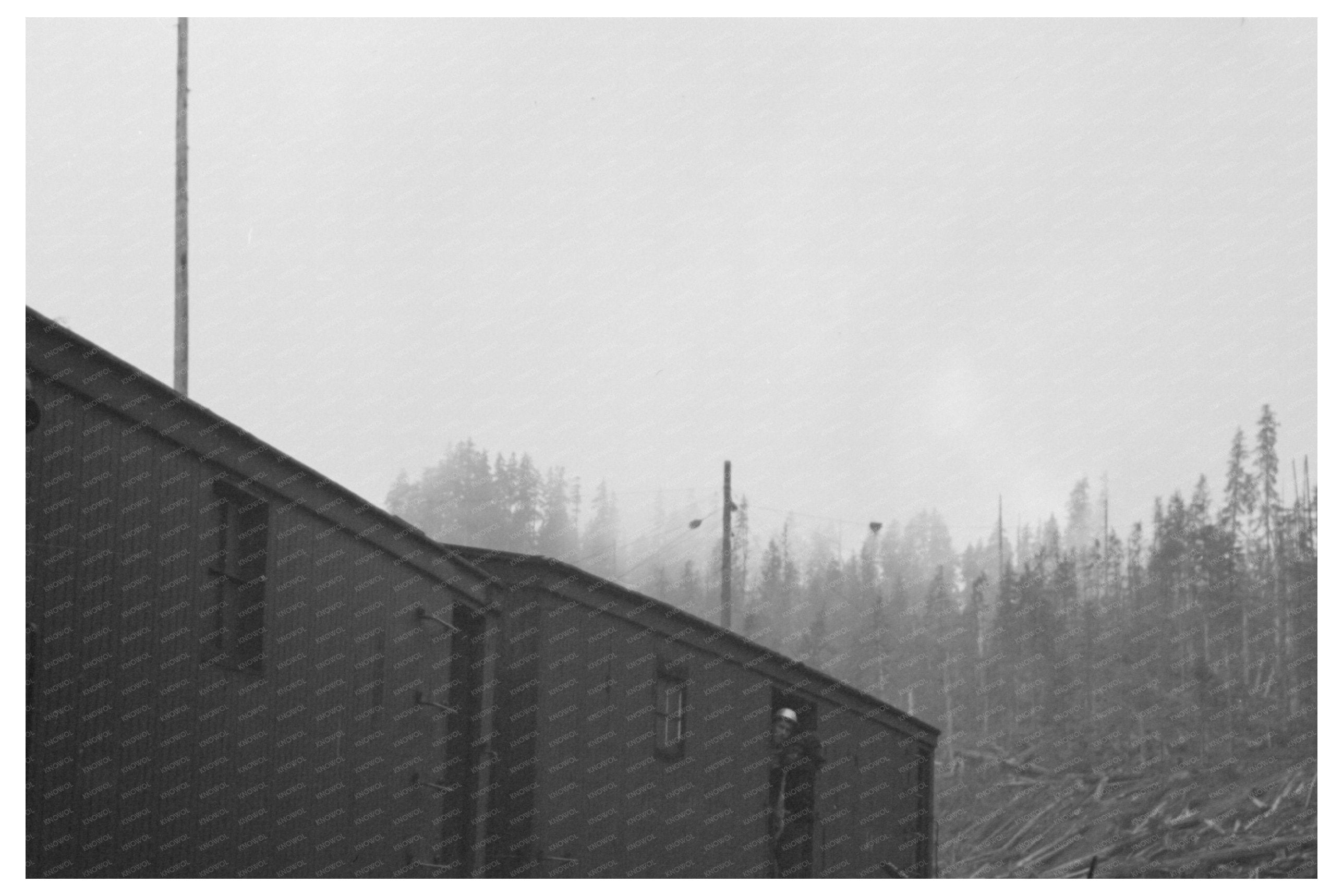 Lumberjacks Arrive at Logging Site Cowlitz County 1941