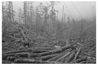 Long Bell Lumber Company Logs Cowlitz County 1941