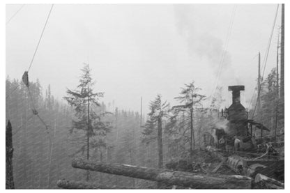 Donkey Engine Transporting Logs Long Bell Lumber 1941