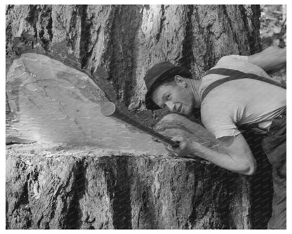 Cowlitz County Logging Worker Oiling Saw October 1941