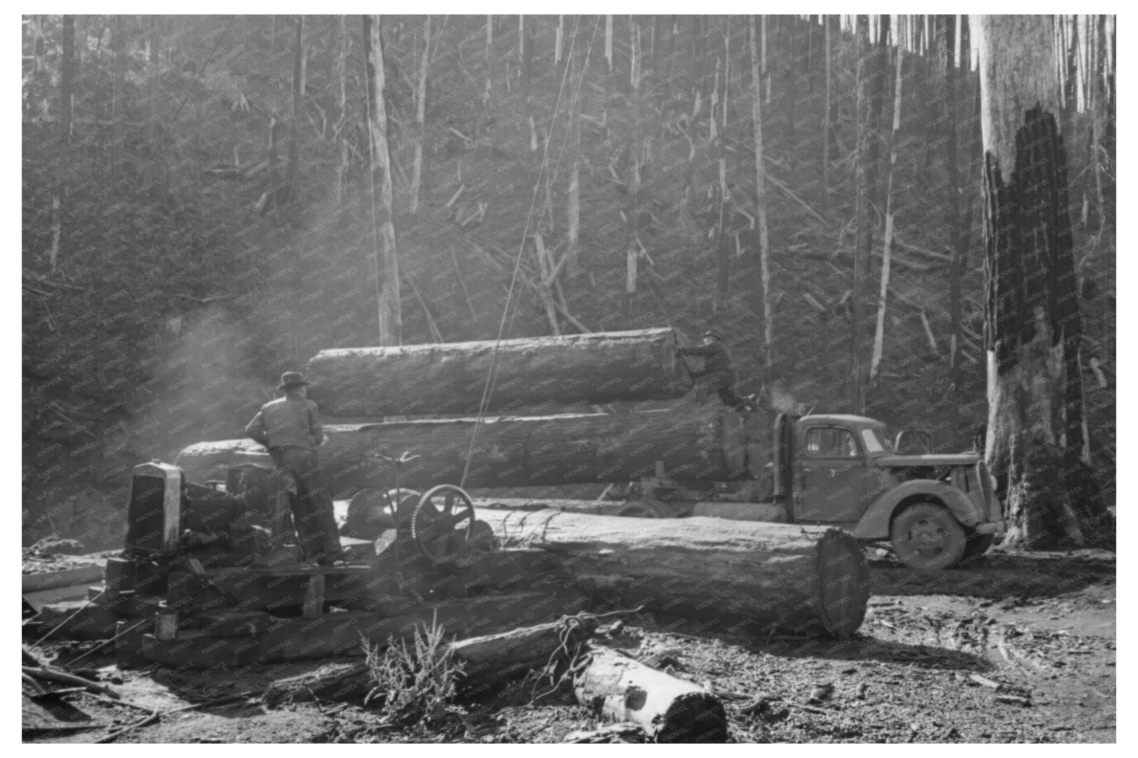 1941 Timber Operations Loading Logs in Tillamook County