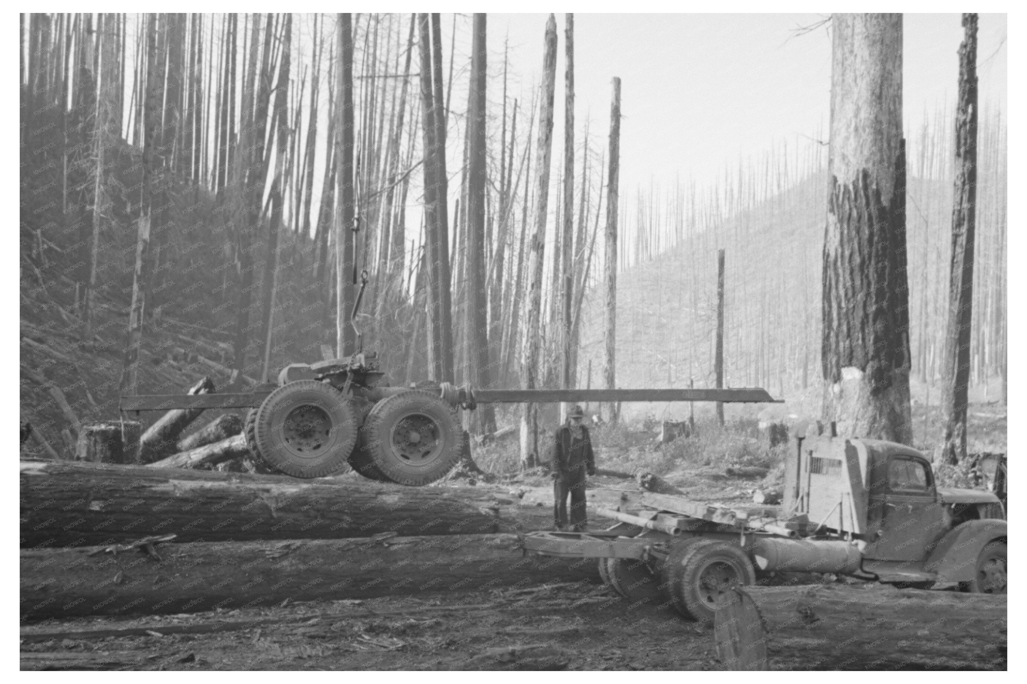 Logging Truck and Trailer in Tillamook County Oregon 1941