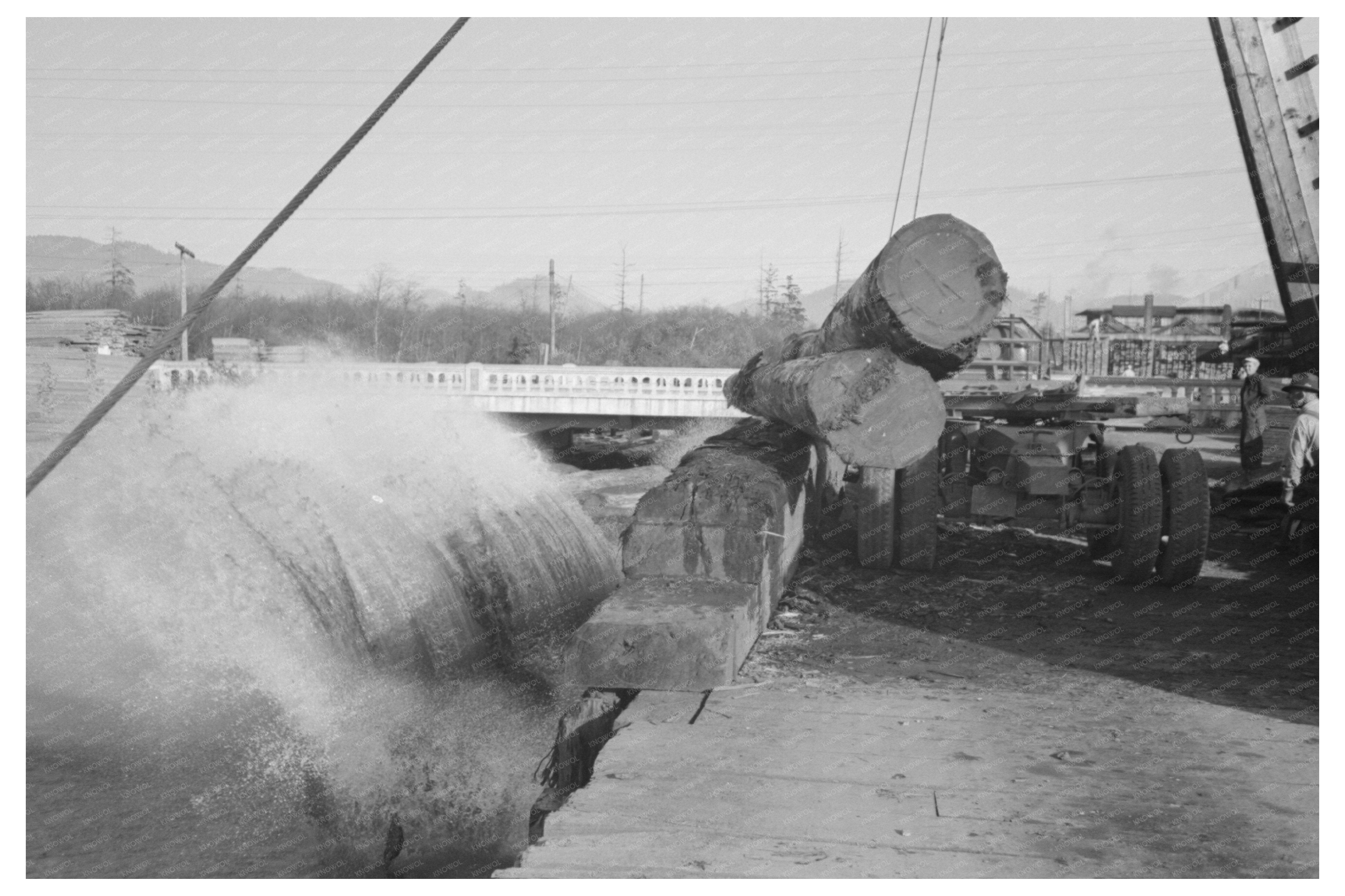 Timber Harvesting Workers in Tillamook Oregon 1941