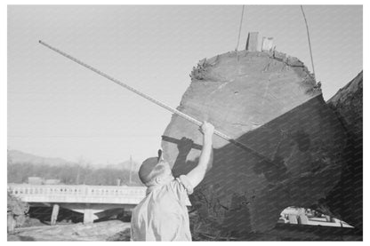 Scaler Measuring Rot in Logs Tillamook Oregon 1941