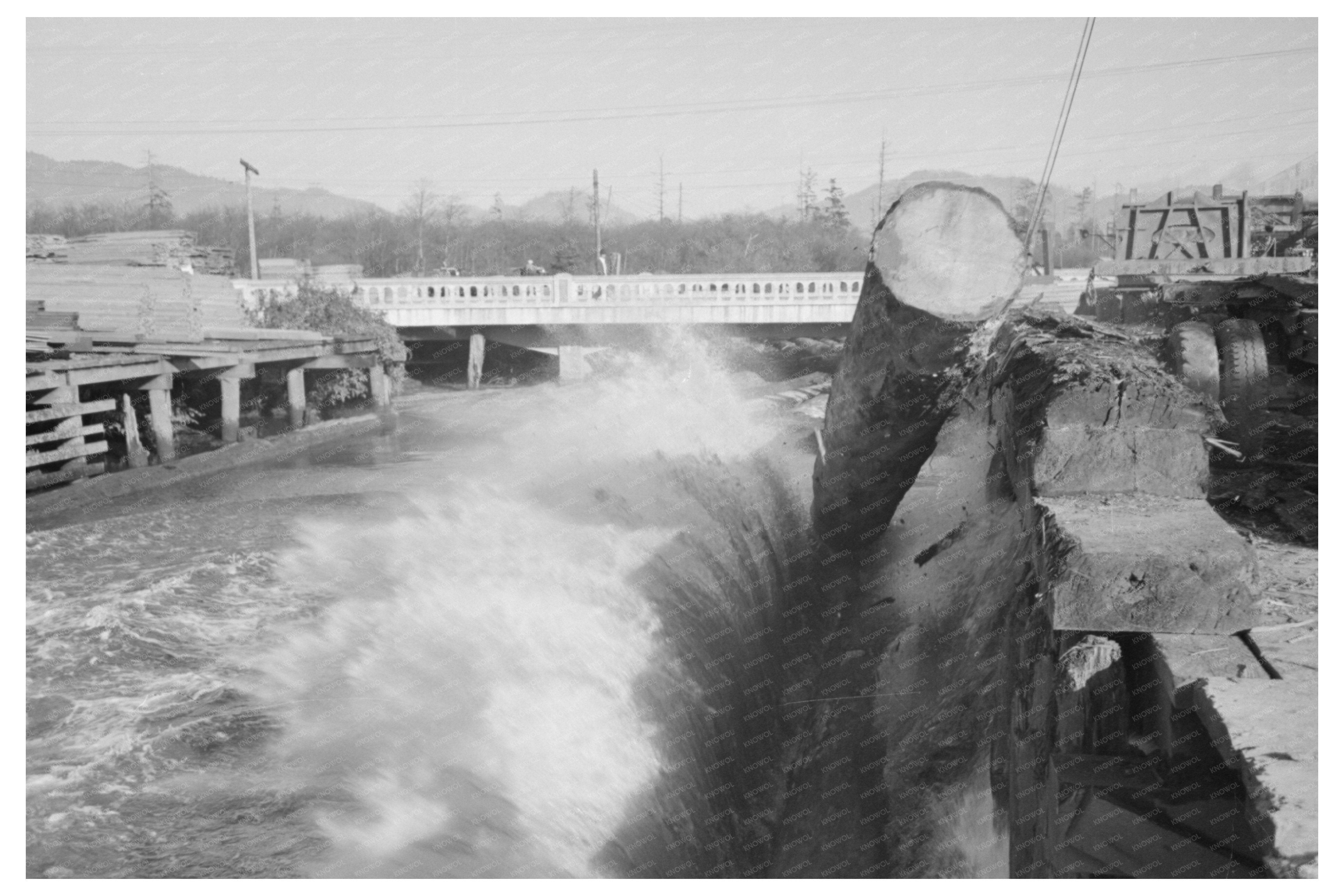 Logs Rolling into Pond in Tillamook Oregon 1941