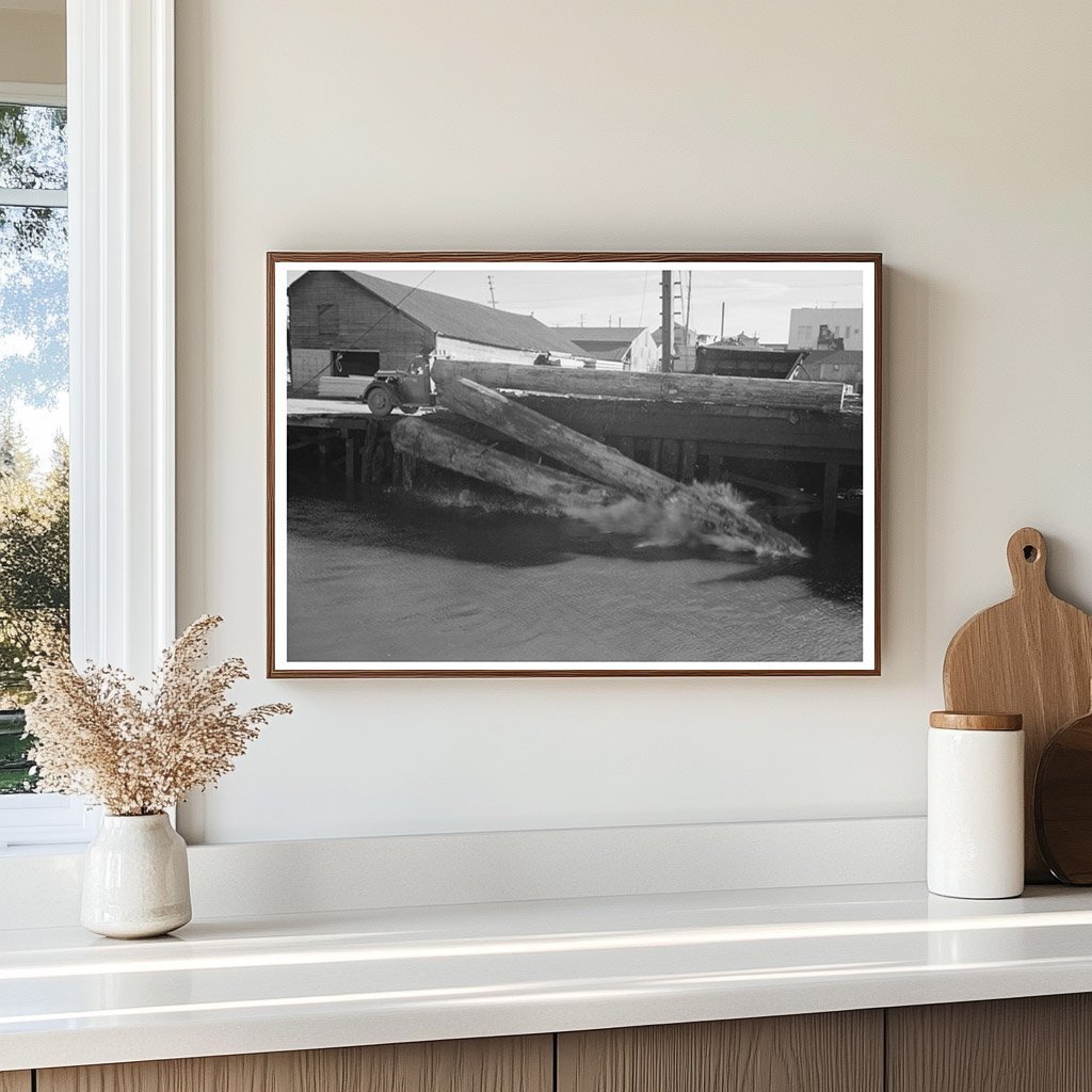 Logs Rolling into Pond in Tillamook County Oregon 1941