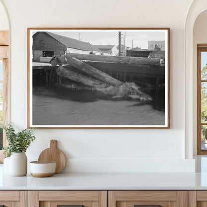 Logs Rolling into Pond in Tillamook County Oregon 1941