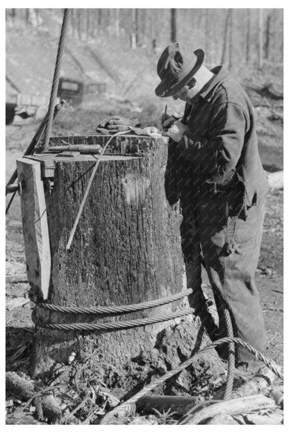 Tillamook County Logging Operations Checkerboard 1941