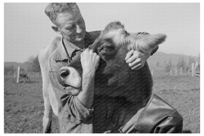 Dairy Farmer with Cow in Tillamook County Oregon 1941