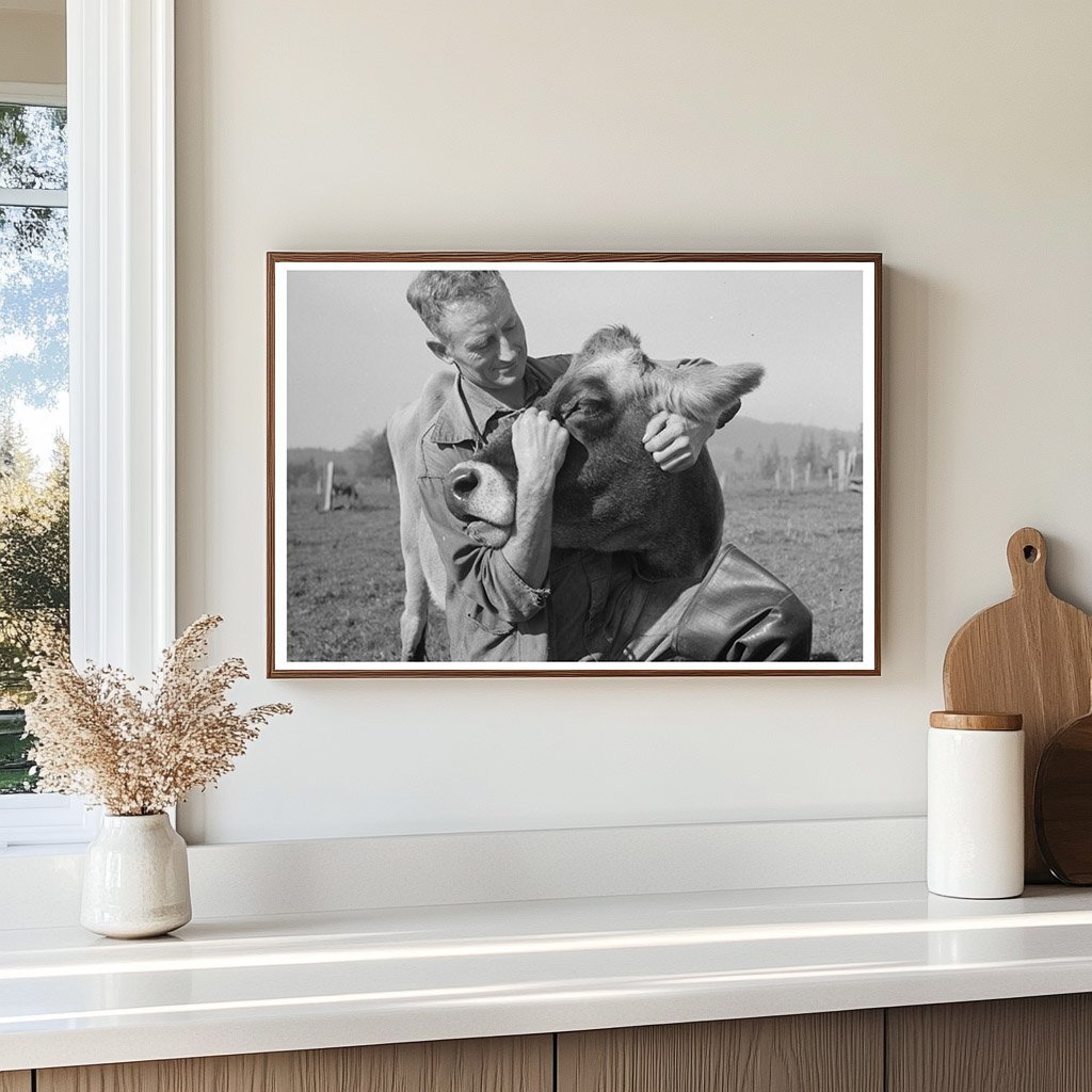 Dairy Farmer with Cow in Tillamook County Oregon 1941