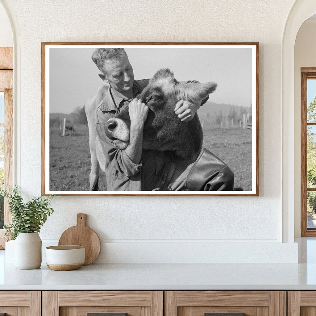 Dairy Farmer with Cow in Tillamook County Oregon 1941