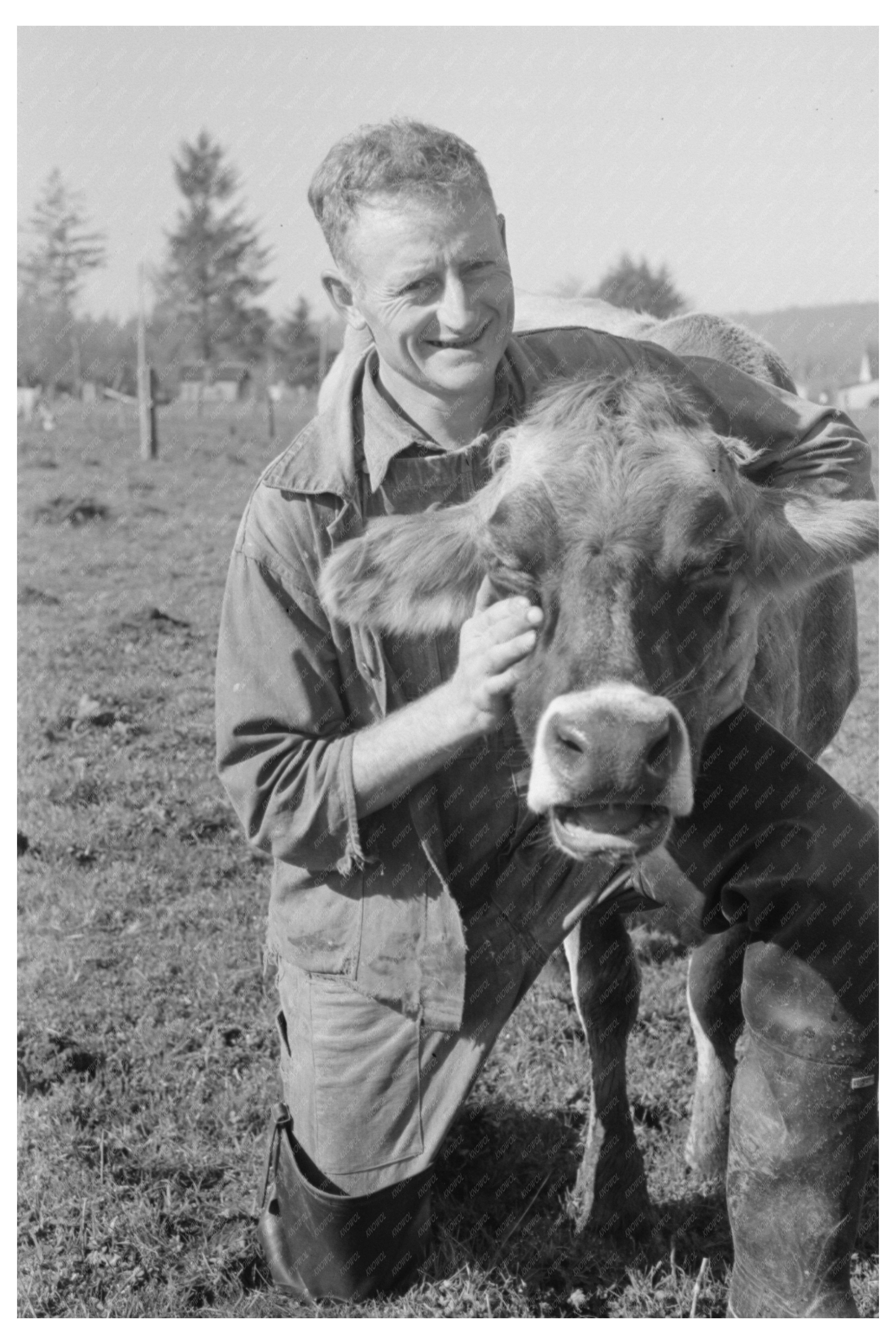 Dairy Farmer with Cow in Tillamook County 1941