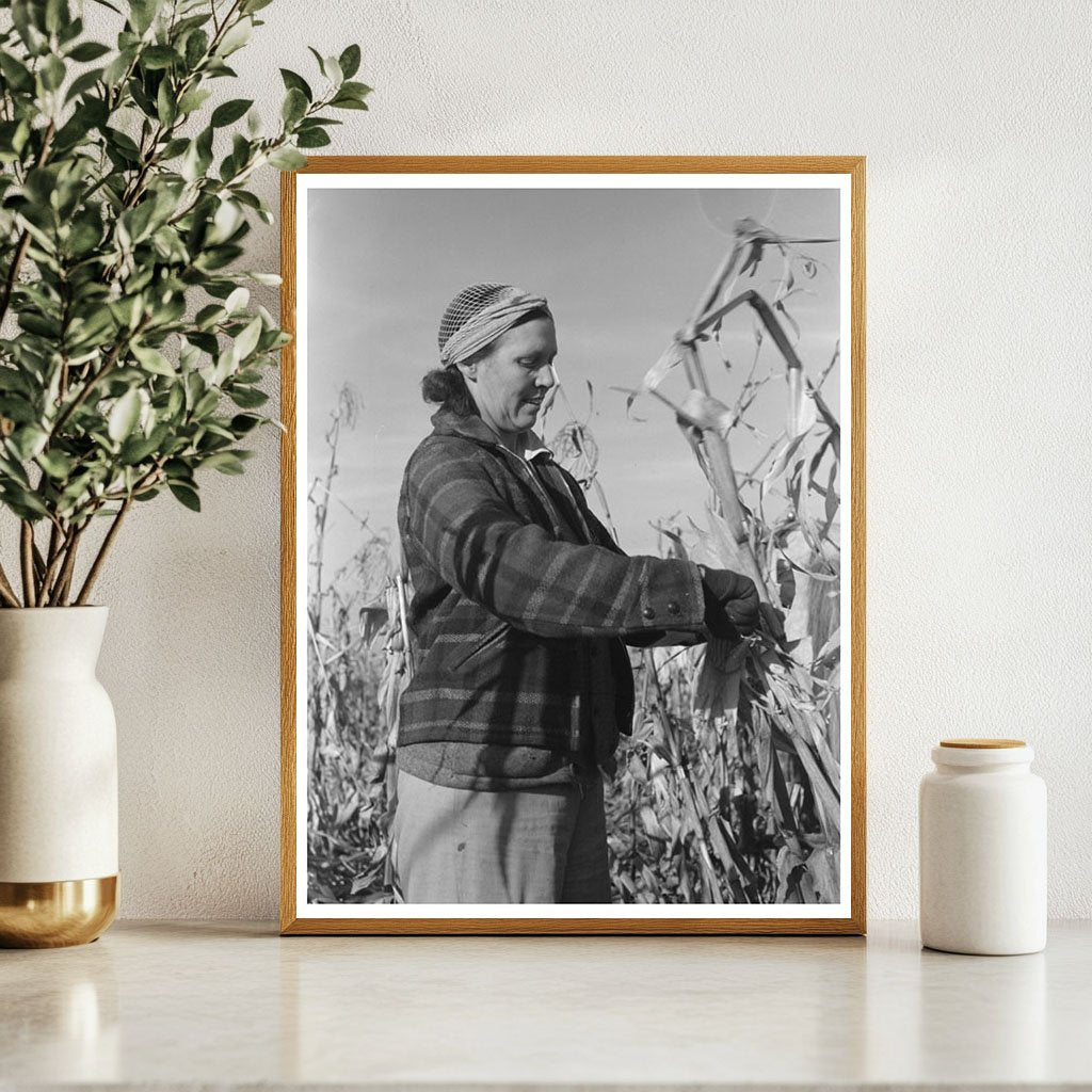 Widow Farmer Husking Corn Idaho November 1941