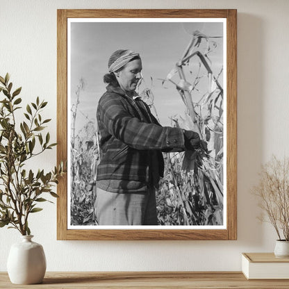 Widow Farmer Husking Corn Idaho November 1941