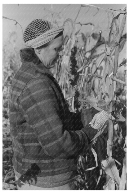 Widow Husking Corn in Idaho Black Canyon Project 1941
