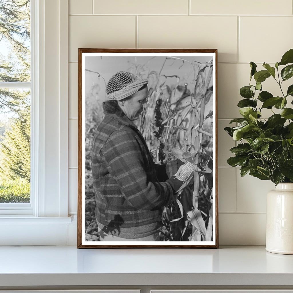 Widow Husking Corn in Idaho Black Canyon Project 1941