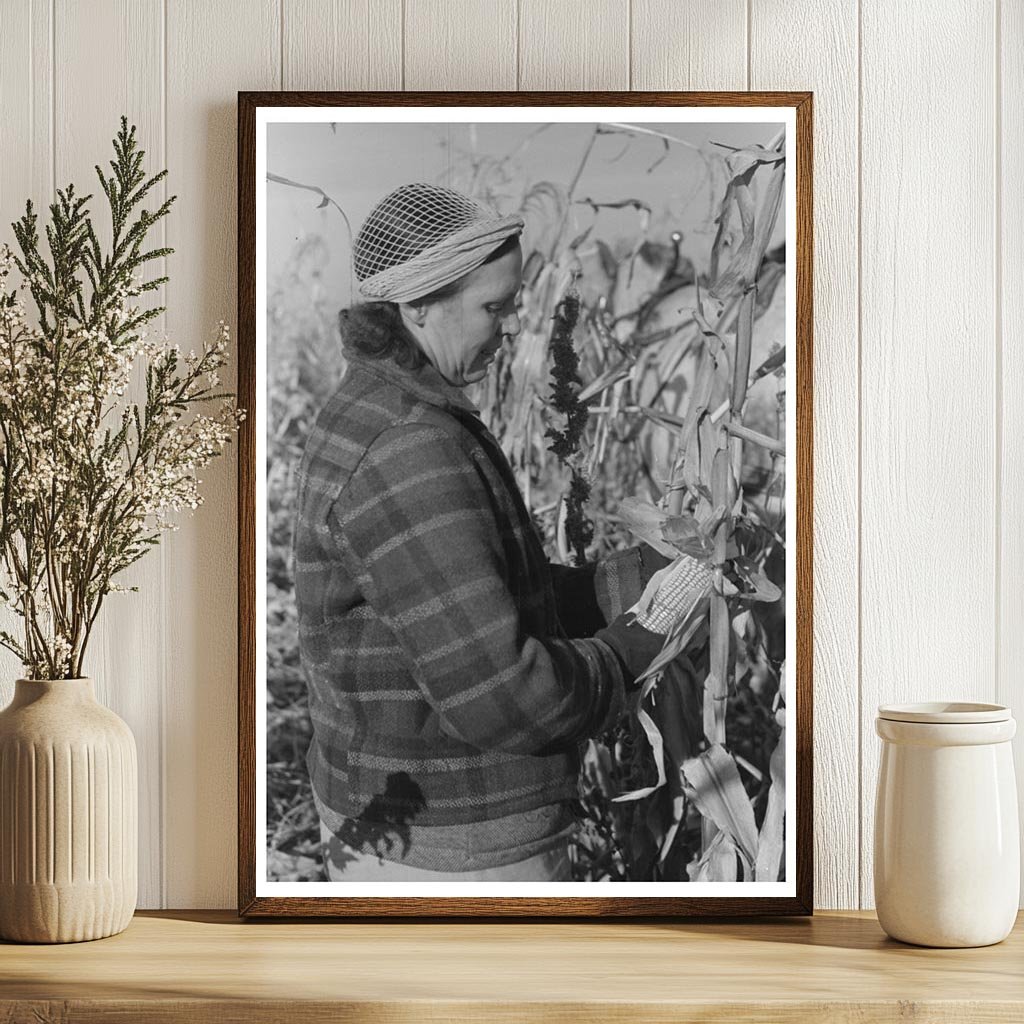 Widow Husking Corn in Idaho Black Canyon Project 1941