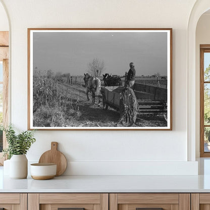 Widow Farmer Husking Corn Black Canyon Project 1941