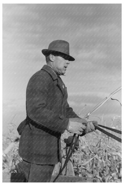 Farmer Driving Wagon in Cornhusking Contest 1941