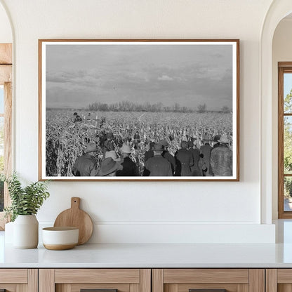 Cornhusking Contest Spectators Ontario Oregon 1941