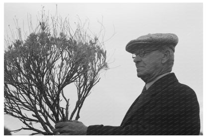 Dr. William B. McCallum with Guayule Plants 1941