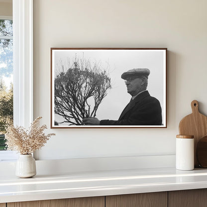 Dr. William B. McCallum with Guayule Plants 1941