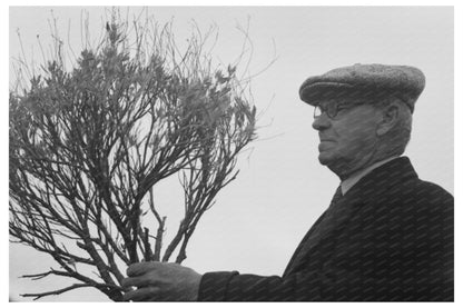 Dr. William B. McCallum with Guayule Plant December 1941