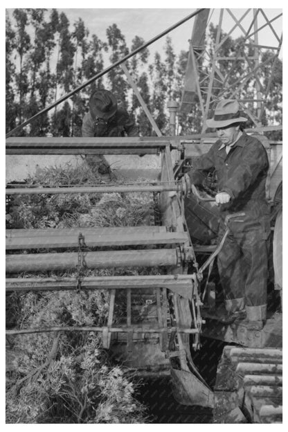 Guayule Transport Machine December 1941 Salinas California