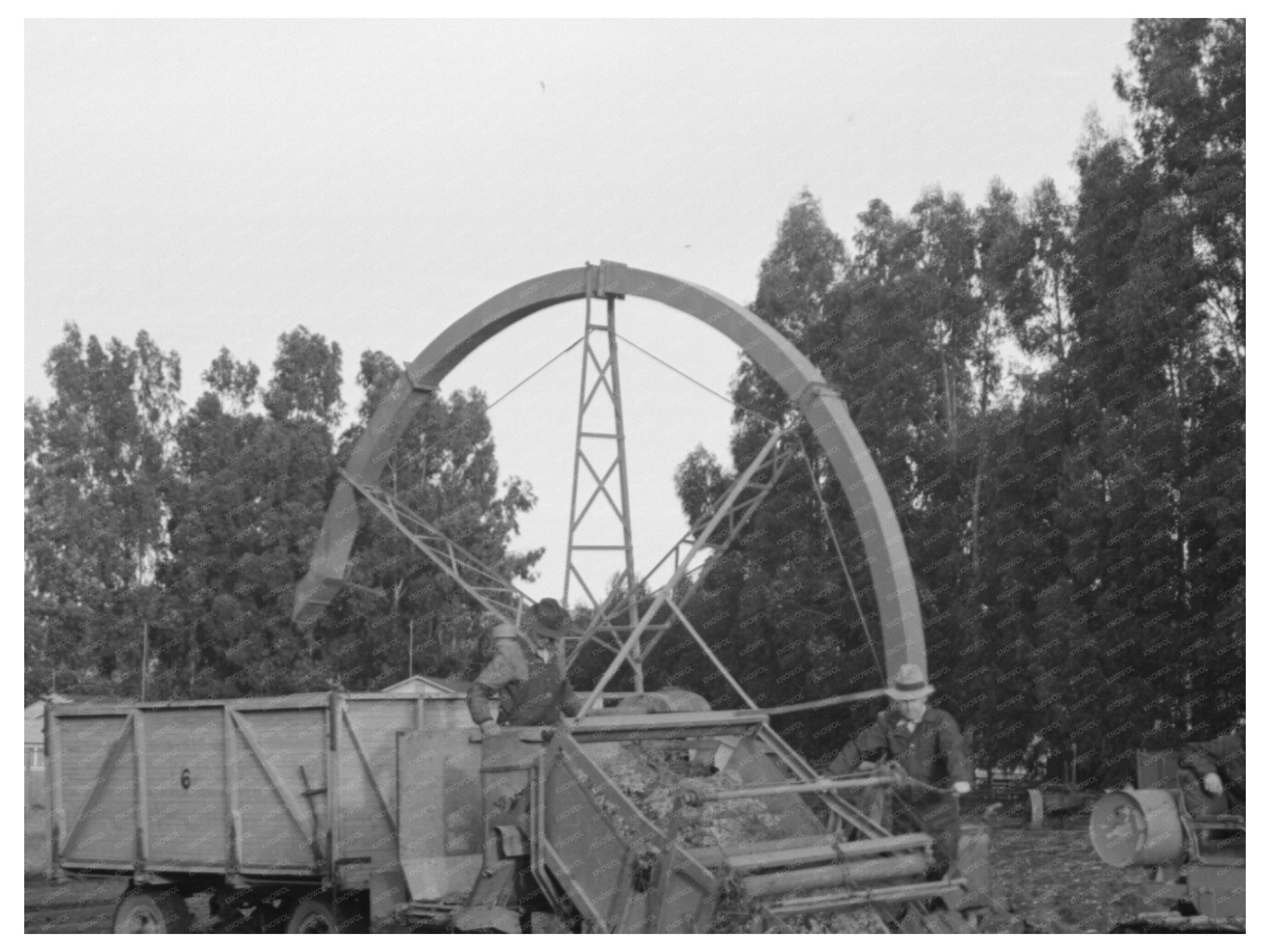 Guayule Harvesting Machine Salinas California 1941