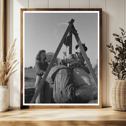 Weighing Cotton in Tulare County California March 1942